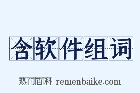 含软件组词是什么意思的图片